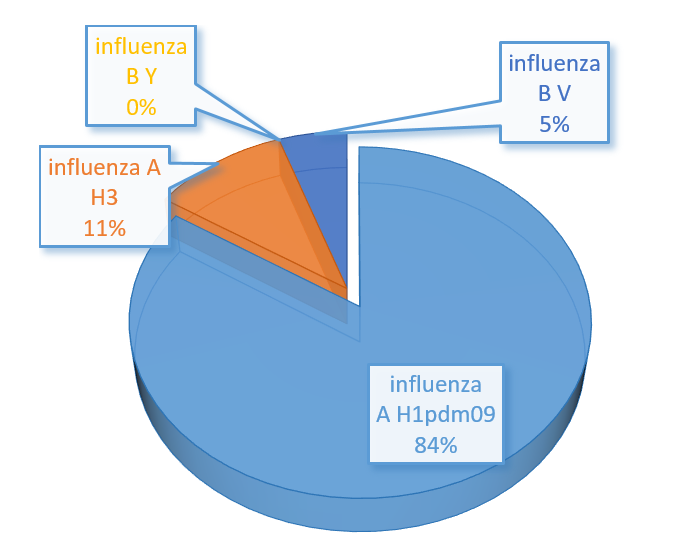leguti Virusok 11het 2